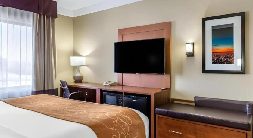 คอมฟอร์ท สวีท Hotel Plainview ภายนอก รูปภาพ
